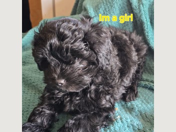 Image 1 of 18
