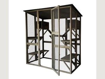 Image 1 of 11