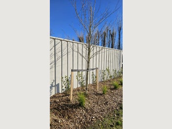 Image 1 of 7