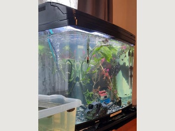 Image 1 of 7