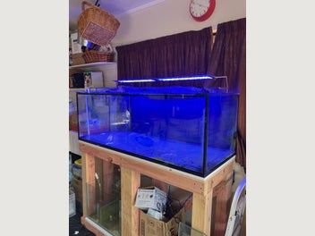 Image 1 of 17