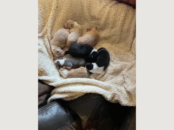 Image 1 of 15