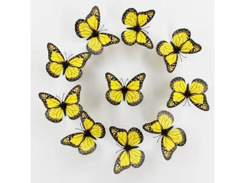 Image 1 of 15
