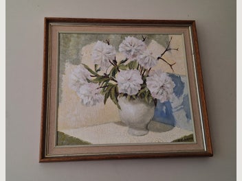 Image 1 of 19