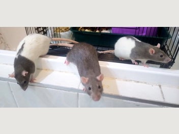 Image 1 of 6