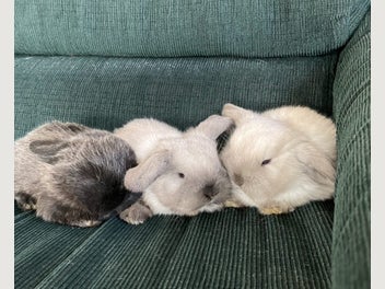 Image 1 of 14