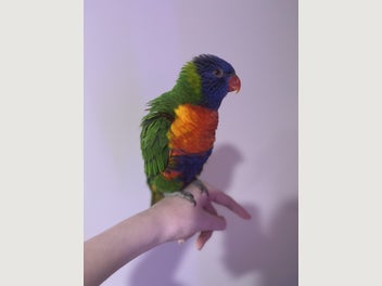 Image 1 of 3