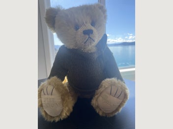 Image 1 of 3