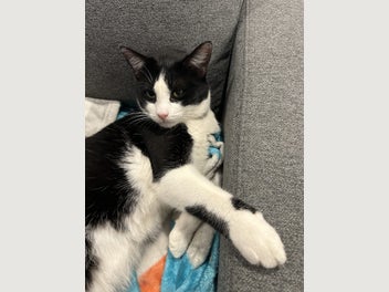 Image 1 of 10
