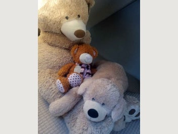 Image 1 of 5
