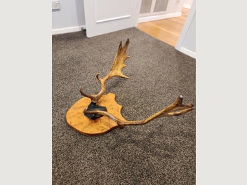 Image 1 of 5