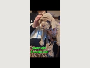 Image 1 of 12