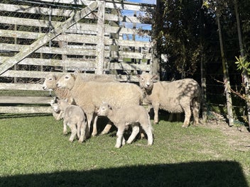 Image 1 of 18