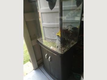 Image 1 of 19