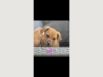 Image 1 of 18