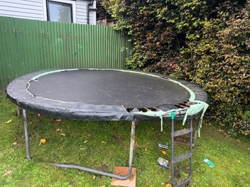 Image 1 of 11
