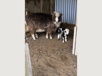 Image 1 of 14