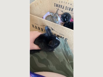 Image 1 of 12