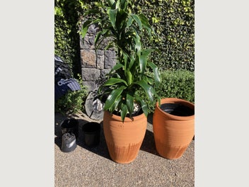 Image 1 of 11