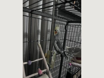 Image 1 of 4