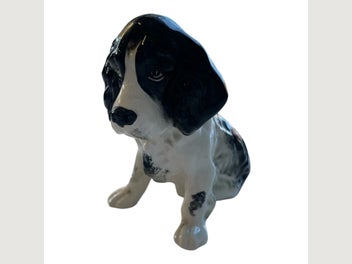 Image 1 of 9