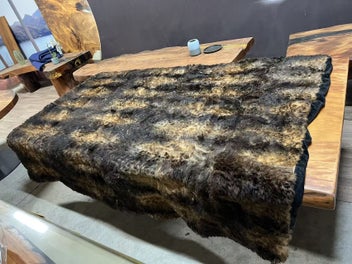 Image 1 of 10