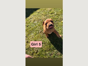 Image 1 of 20