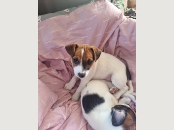 Image 1 of 20