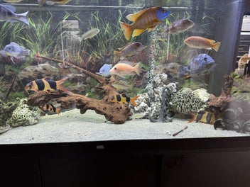 Image 1 of 15