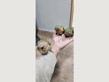 Image 1 of 8