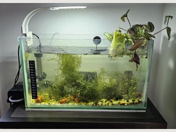 Image 1 of 7