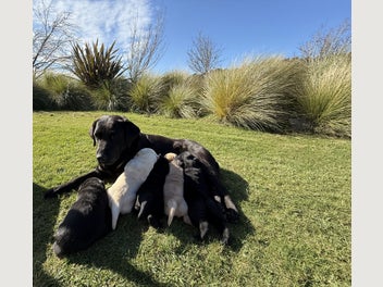 Image 1 of 14