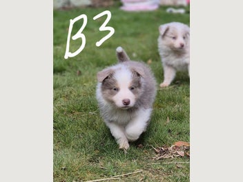 Image 1 of 17
