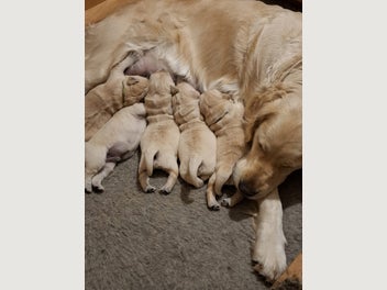 Image 1 of 10