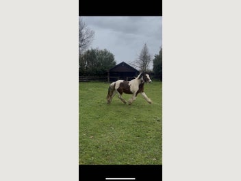 Image 1 of 17