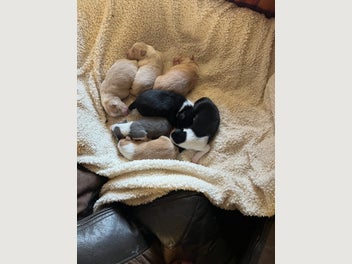Image 1 of 14
