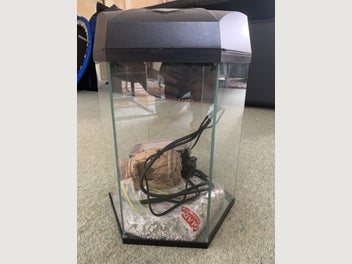 Image 1 of 7