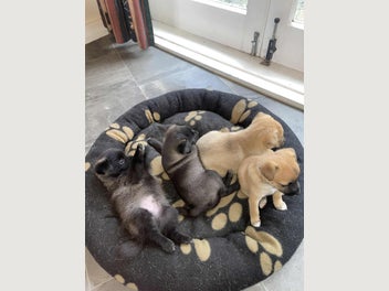 Image 1 of 13