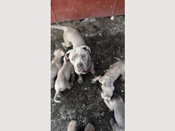 Image 1 of 14