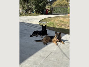 Image 1 of 10