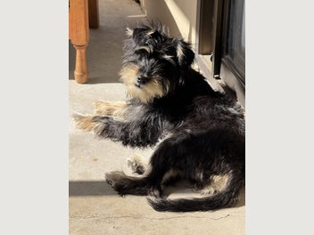 Image 1 of 10