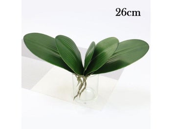 Image 1 of 9