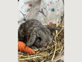 Image 1 of 20