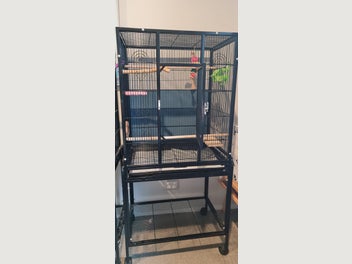 Image 1 of 1