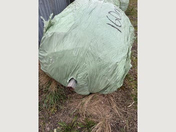 Image 1 of 7