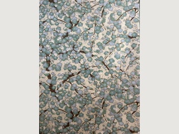Image 1 of 9