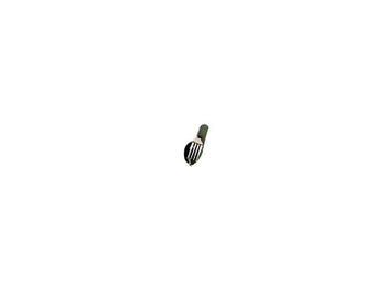 Image 1 of 15