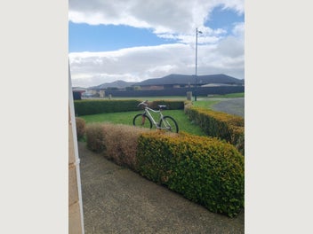Image 1 of 12