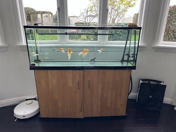 Image 1 of 8