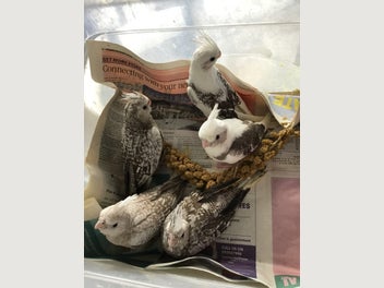 Image 1 of 2